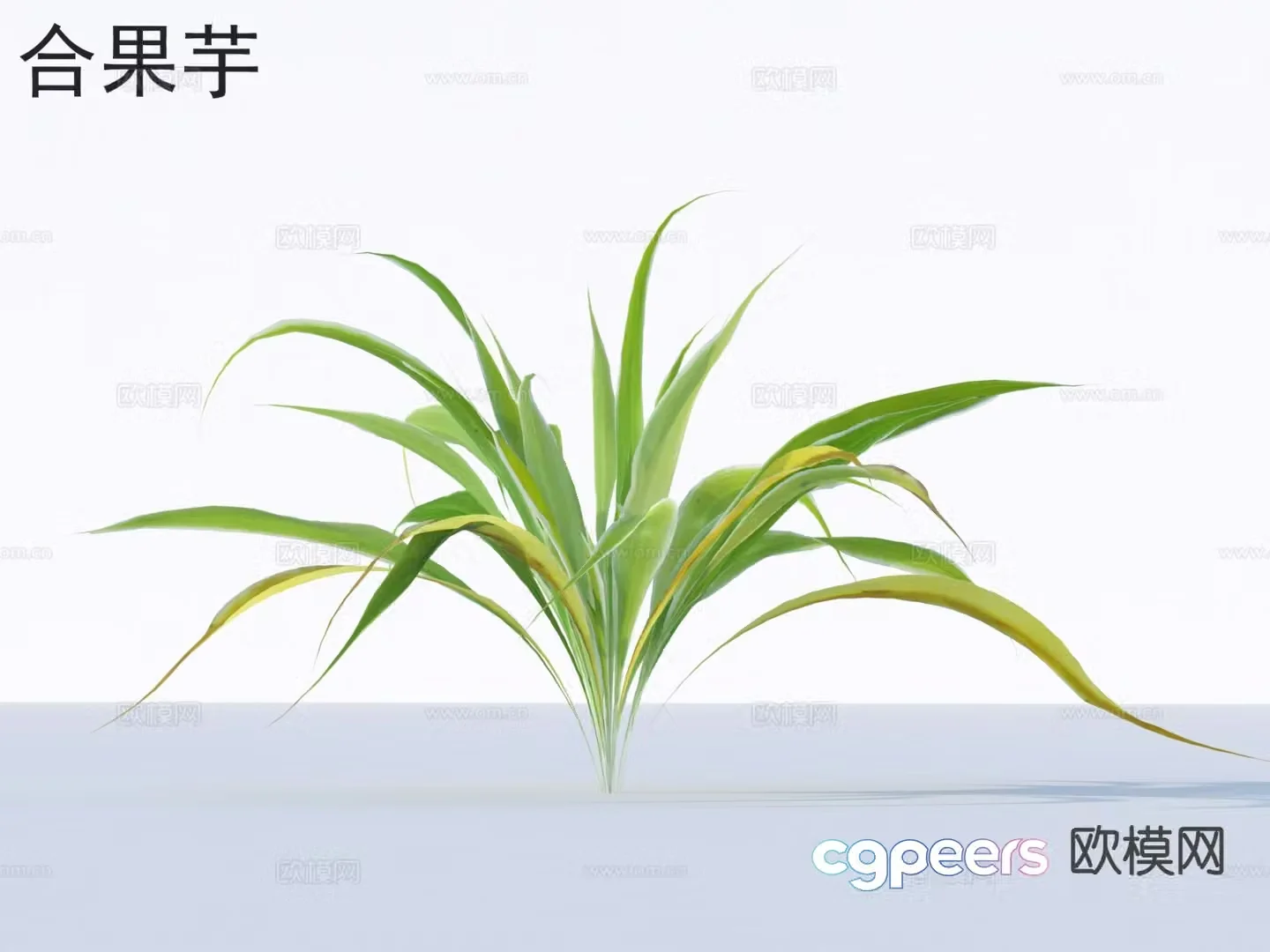 3D model of mercapto flowers plants and shrubs
