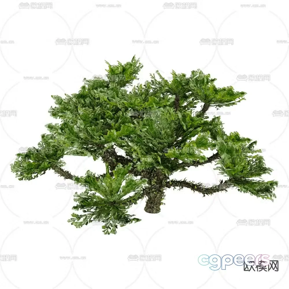 Modeling shrubs pruning shrubs landscape tree 3d model