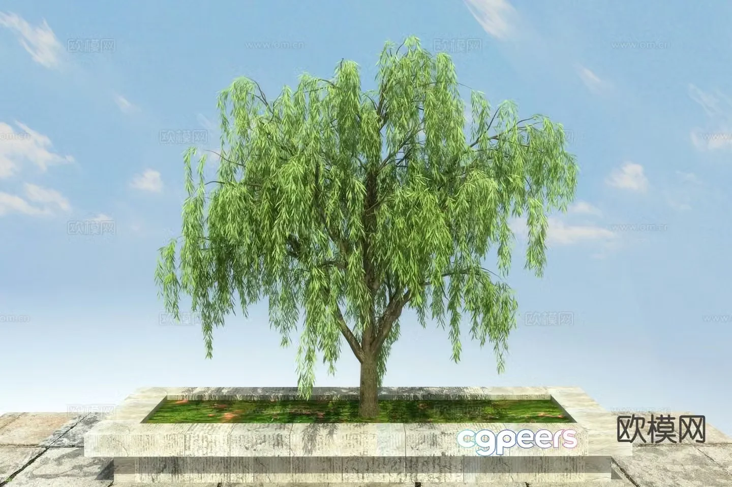 Landscape tree tree weeping willow 3d model