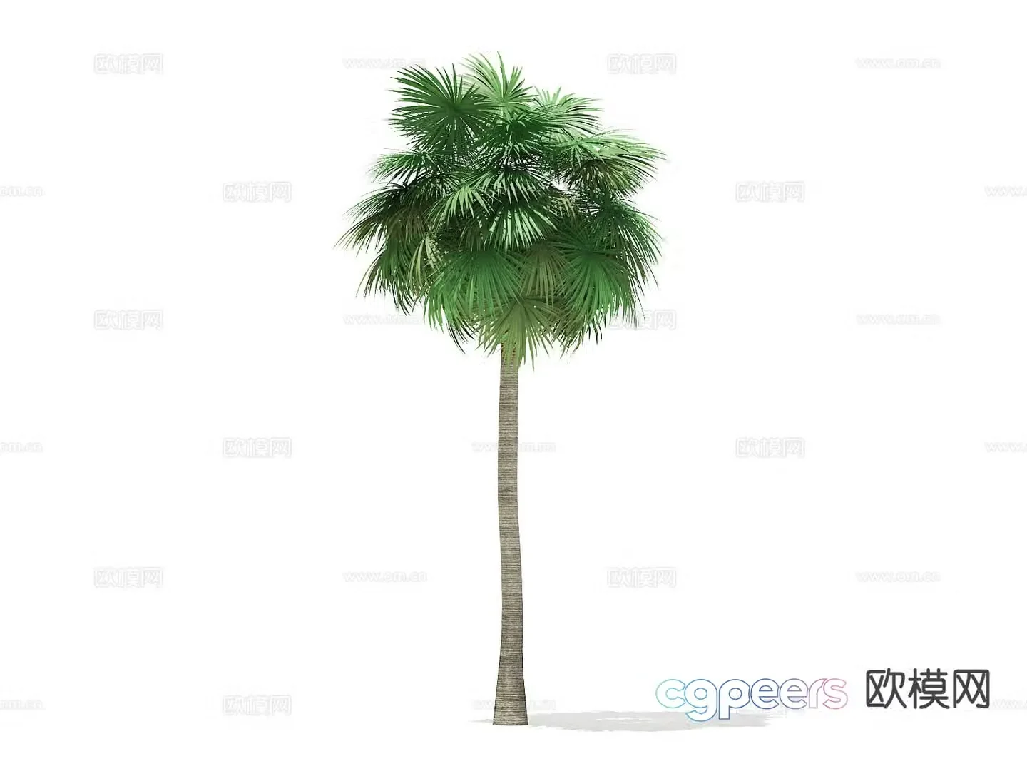 Landscape tree Street tree Tree Palm tree 3d model