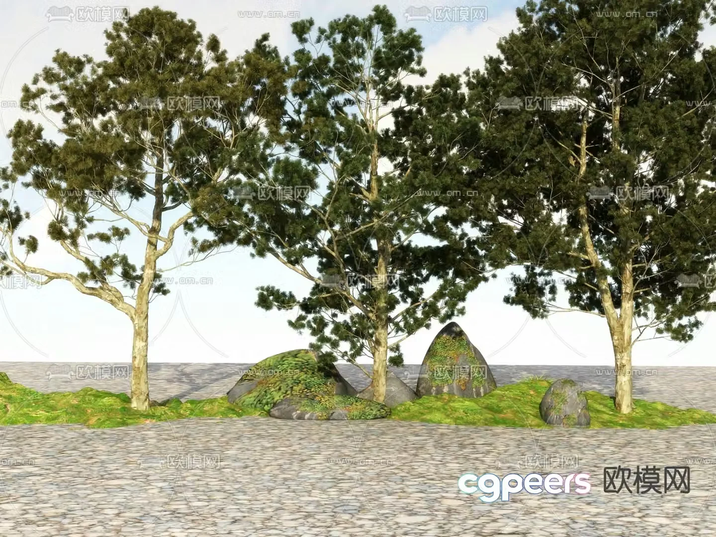 Big tree Landscape tree Street tree 3d model