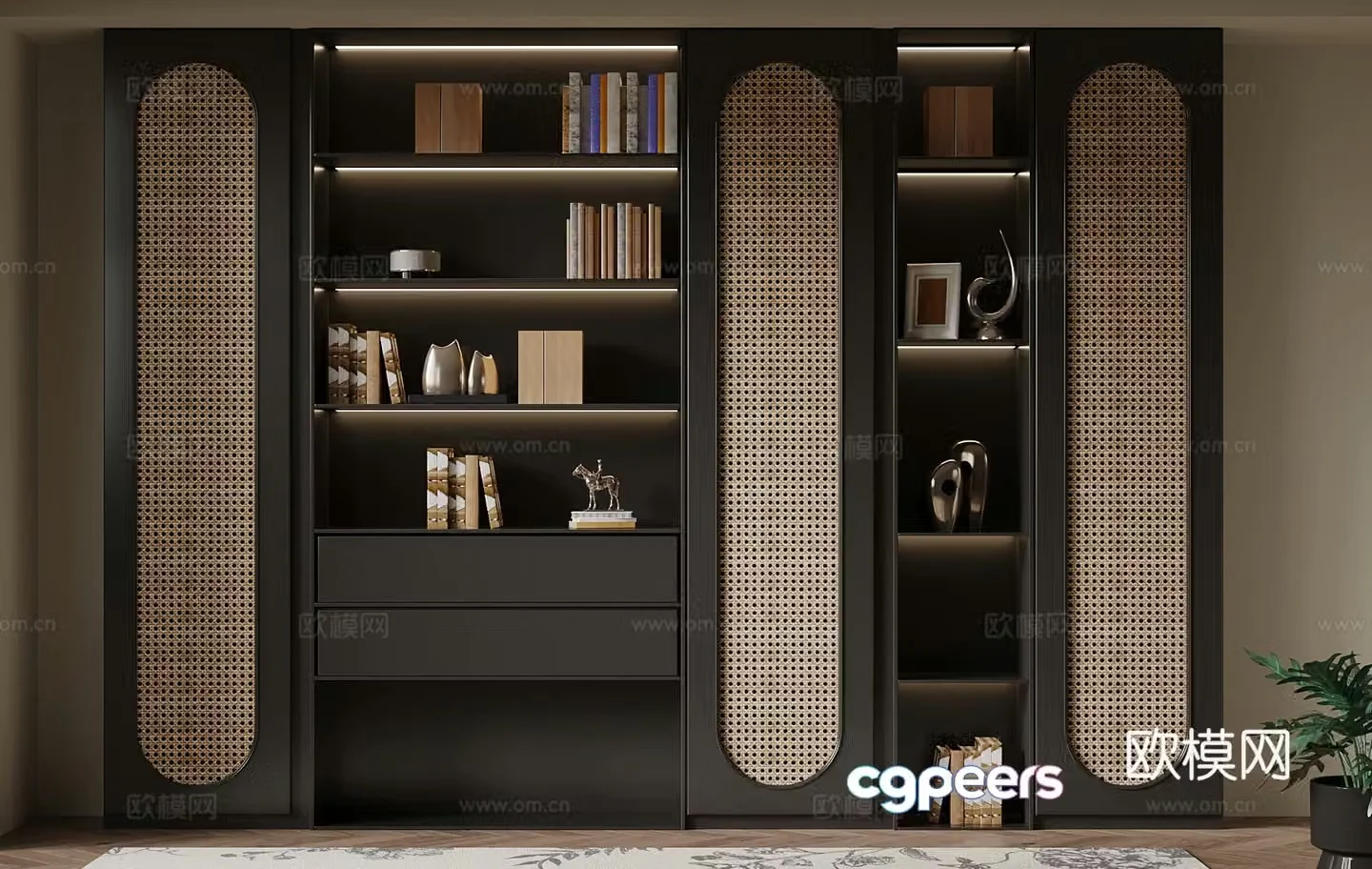Bookcase French bookcase 3d model