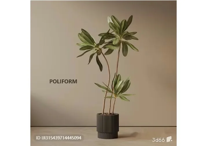 A Plant In A Pot 3D Model – 7818 – VRAY Render