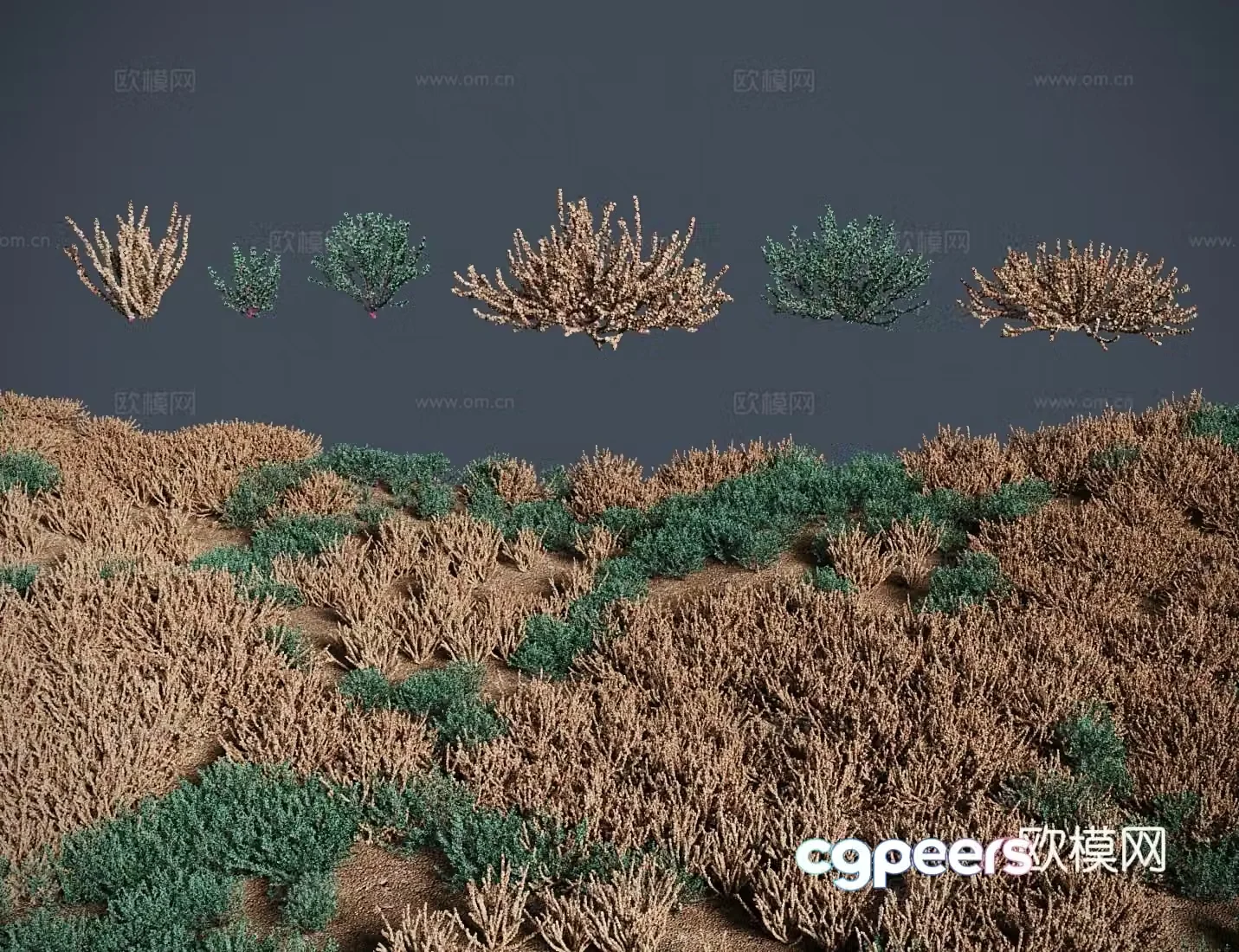 Modern meadow lawn Salt grass meadow shrub 3d model