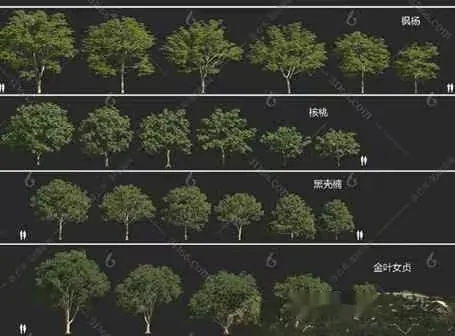 Trees With Green Leaves 3D Model – 10446 – VRAY Render