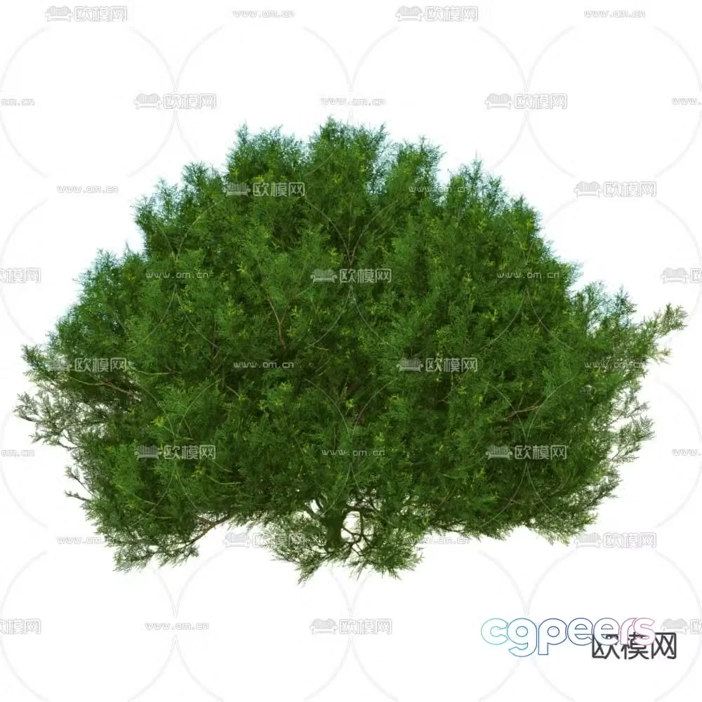 Styling shrubs pruned shrubs green plants 3D model