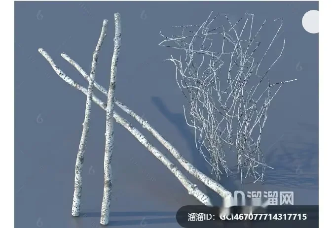 White 3D Branches 3D Model – 7803 – VRAY Render