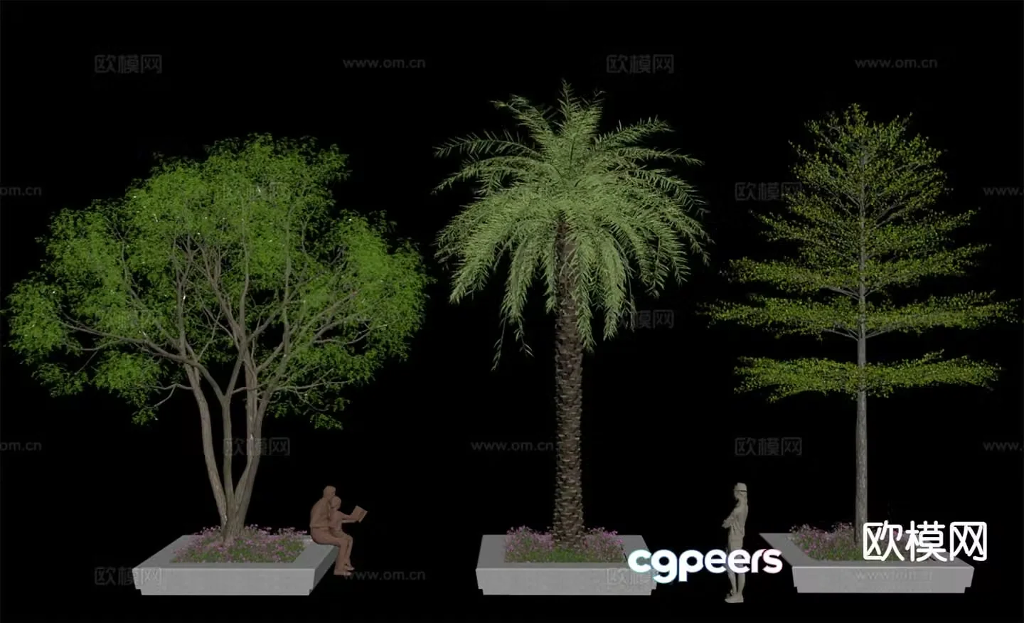 Landscape tree palm seaweed 3d model