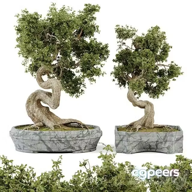 3ds Max Free – Bonsai Set Vol.01