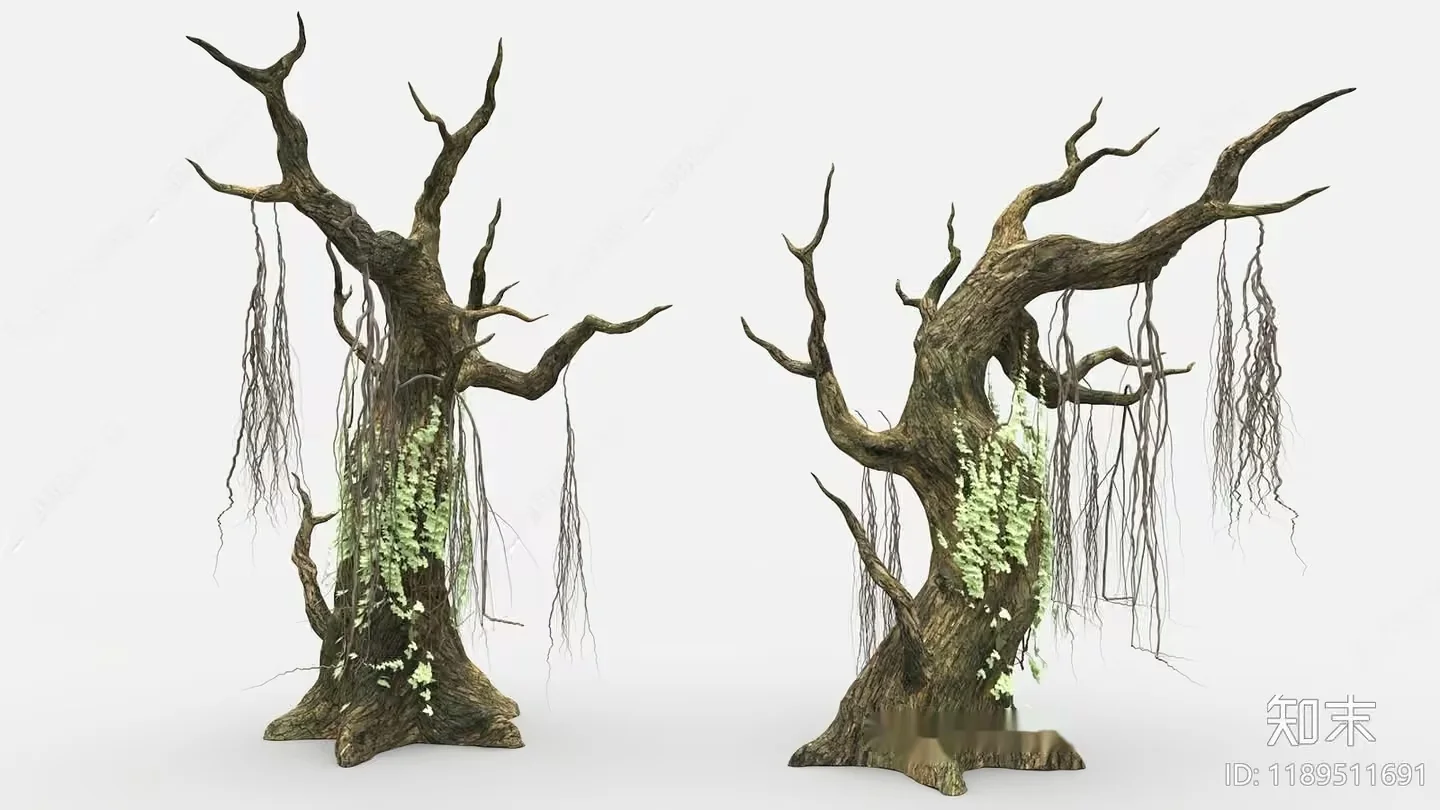 A Pair Of Old Trees With Vines 3D Model – 11429 – VRAY Render