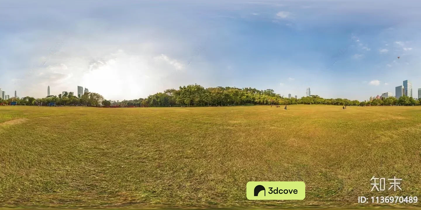 A Grassy Field With A City Skyline In The Background
