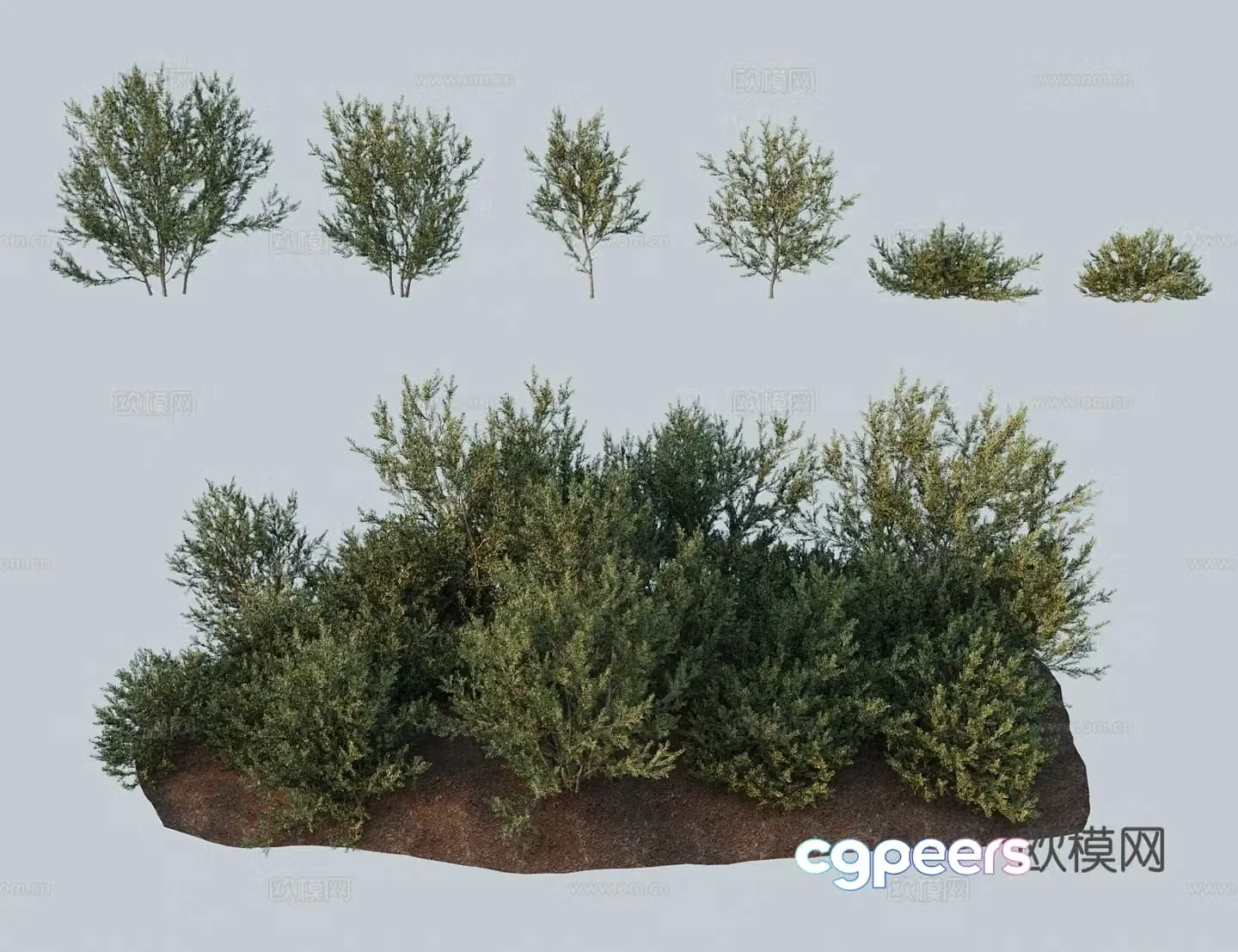 Modern shrubs salt ears salt bran salt skin wood white hydrochloric acid black peach and black salt bubble 3D model