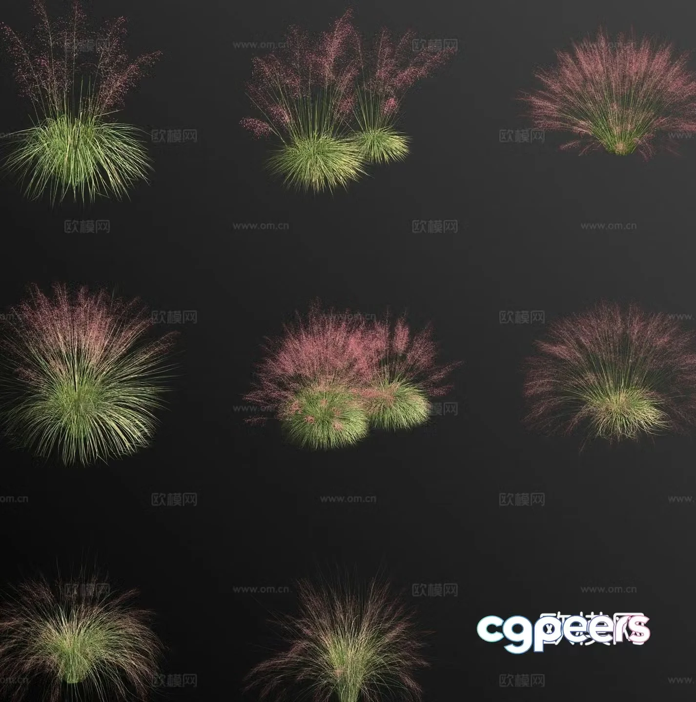 3D model of pink grass flowers and weeds