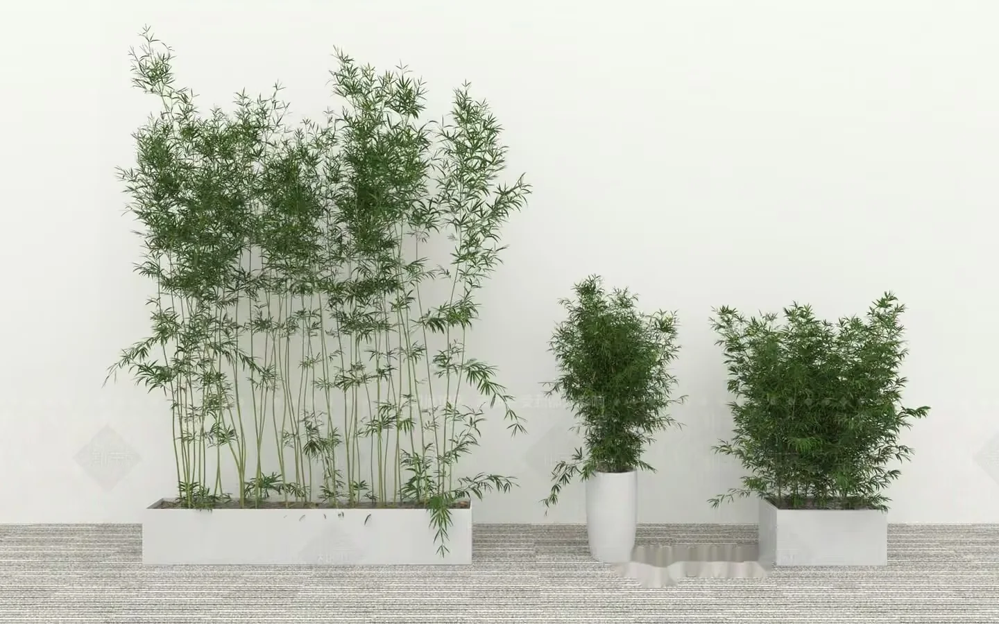 Three Potted Bamboo Plants 3D Model – 15755 – VRAY Render