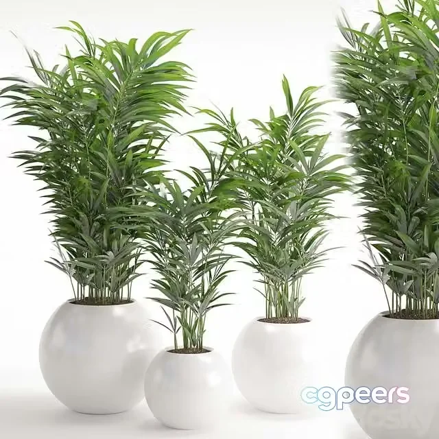 3ds Max Free – Houseplant 20