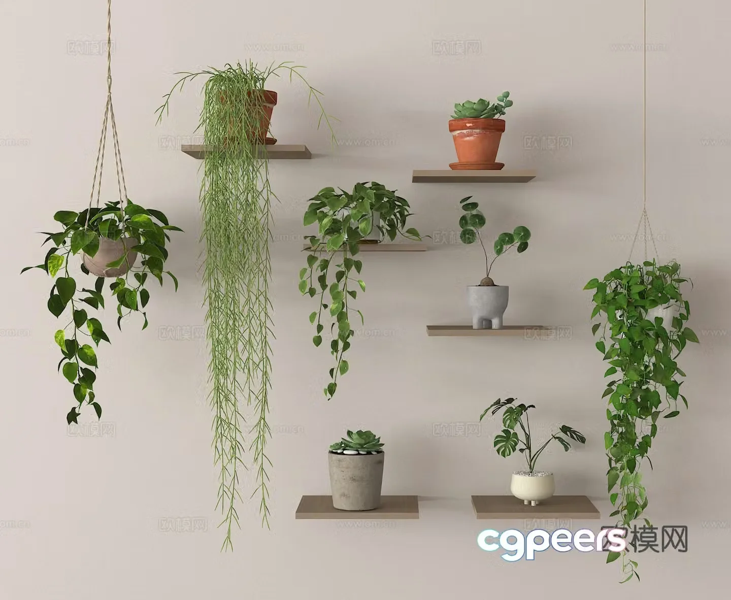 Potted plants green plants hanging basket bonsai 3d model