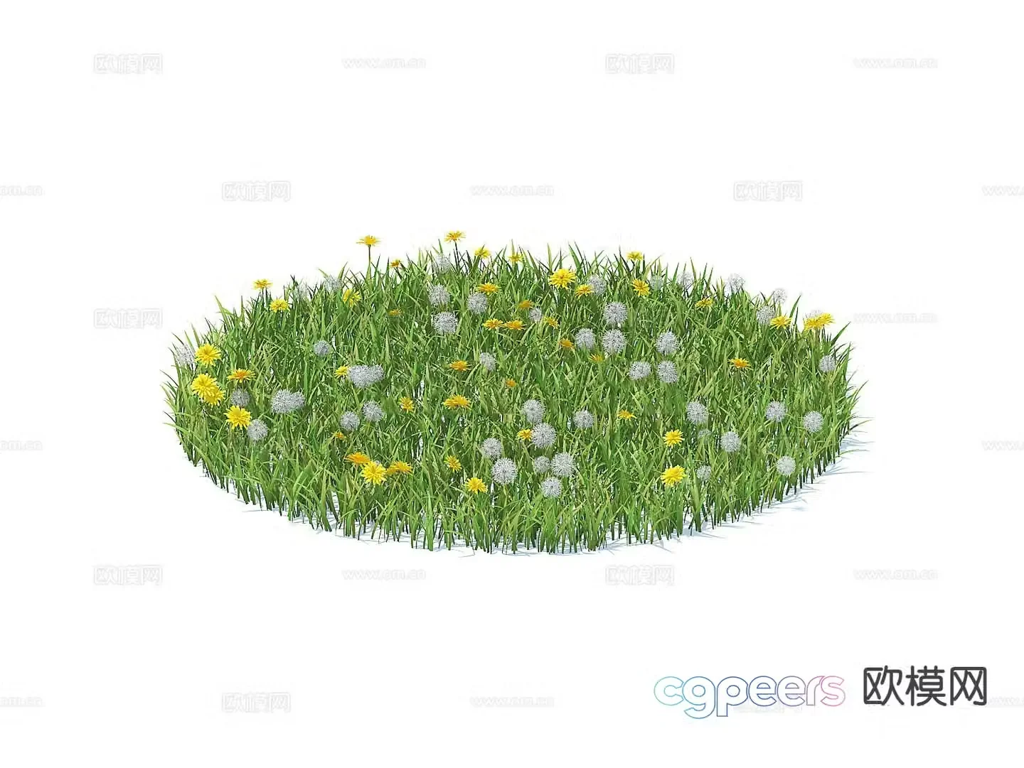 Grass lawn 3d model