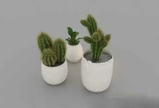 Small White Potted Plants 3D Model – 12881 – VRAY Render