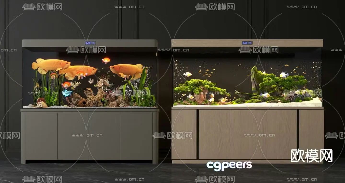 Ornamental fish tank aquarium 3d model