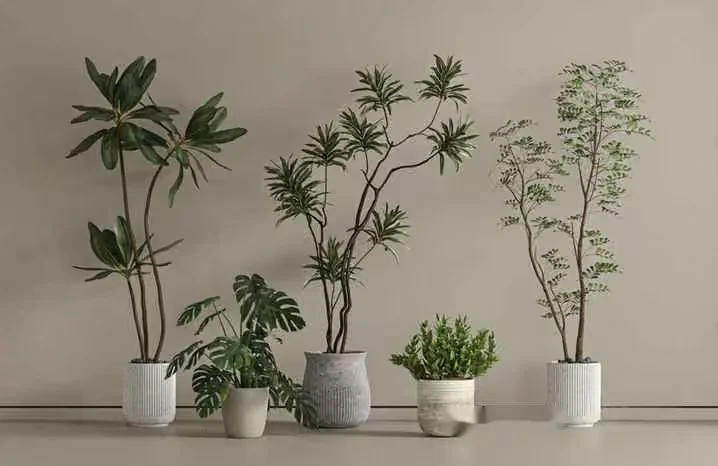Plants In Pots 3D Model – 1821 – VRAY Render