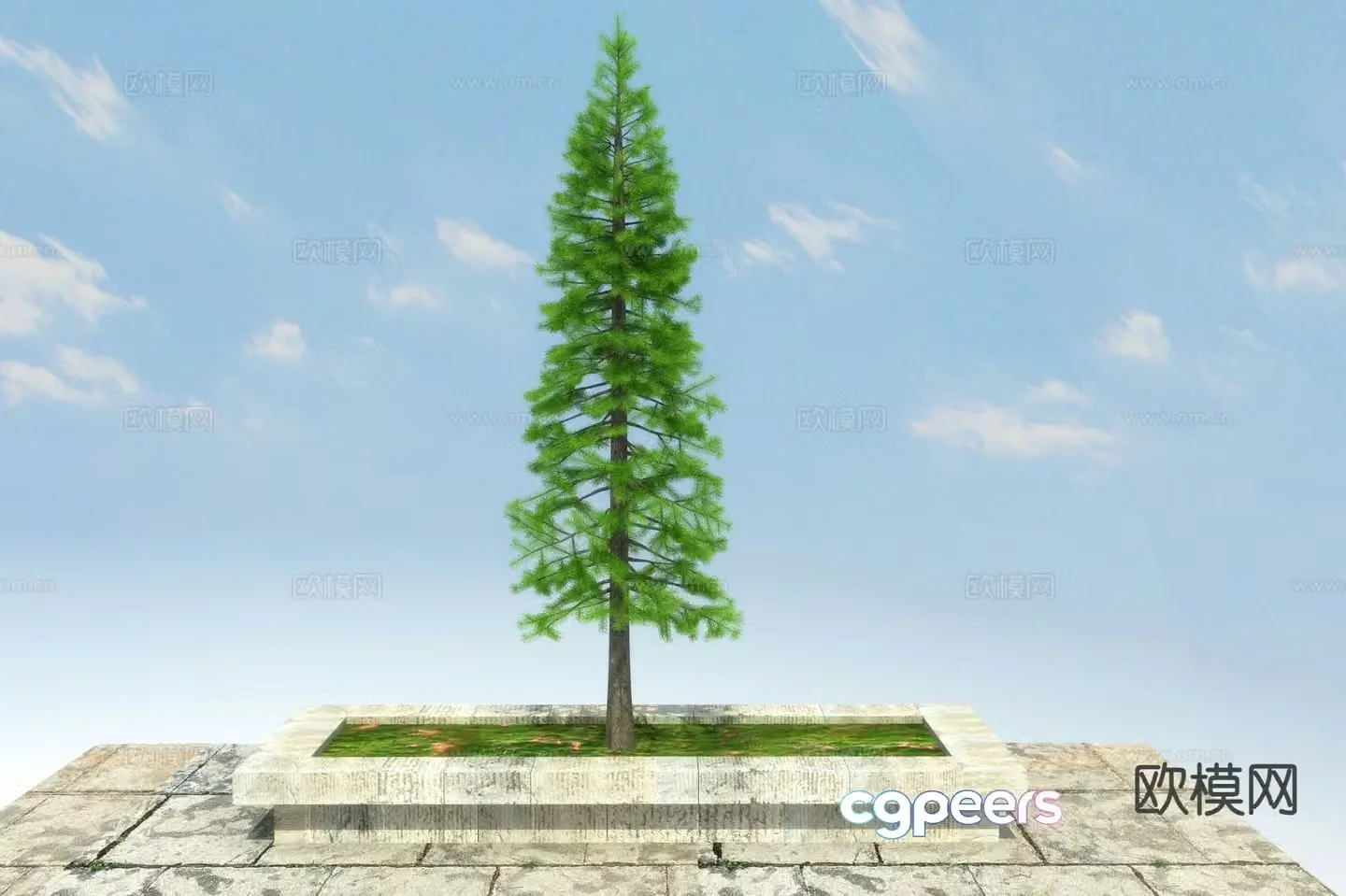 New Chinese style pine tree 3d model