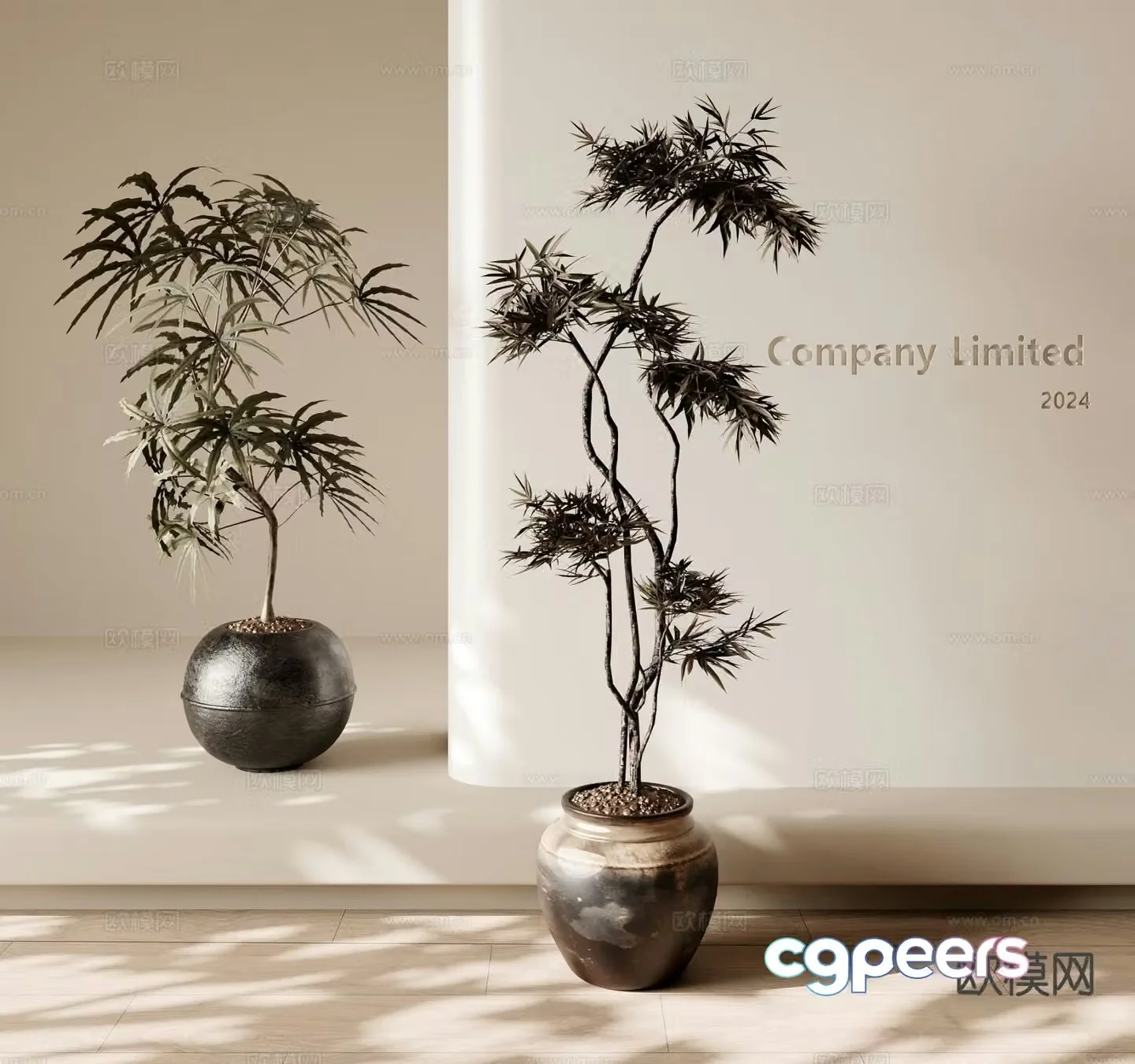 Middle-aged green plant potted bonsai 3d model