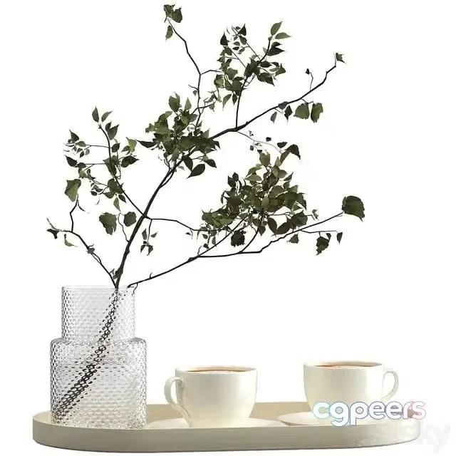3ds Max Free – Two cups of cappuccino on a tray
