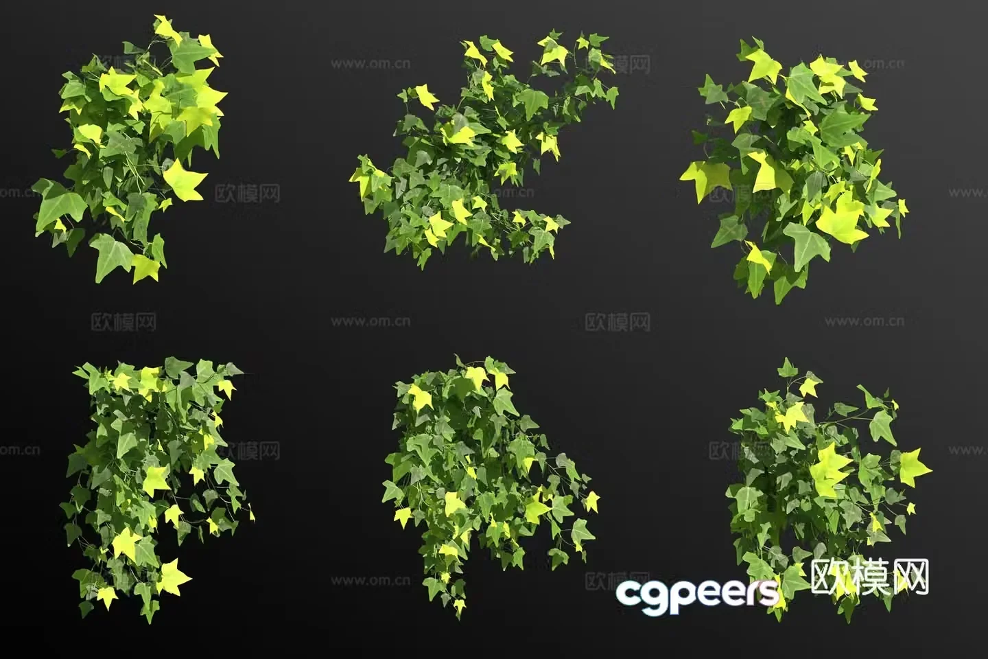 Mosaic ivy vines shrubs and flowers 3d model