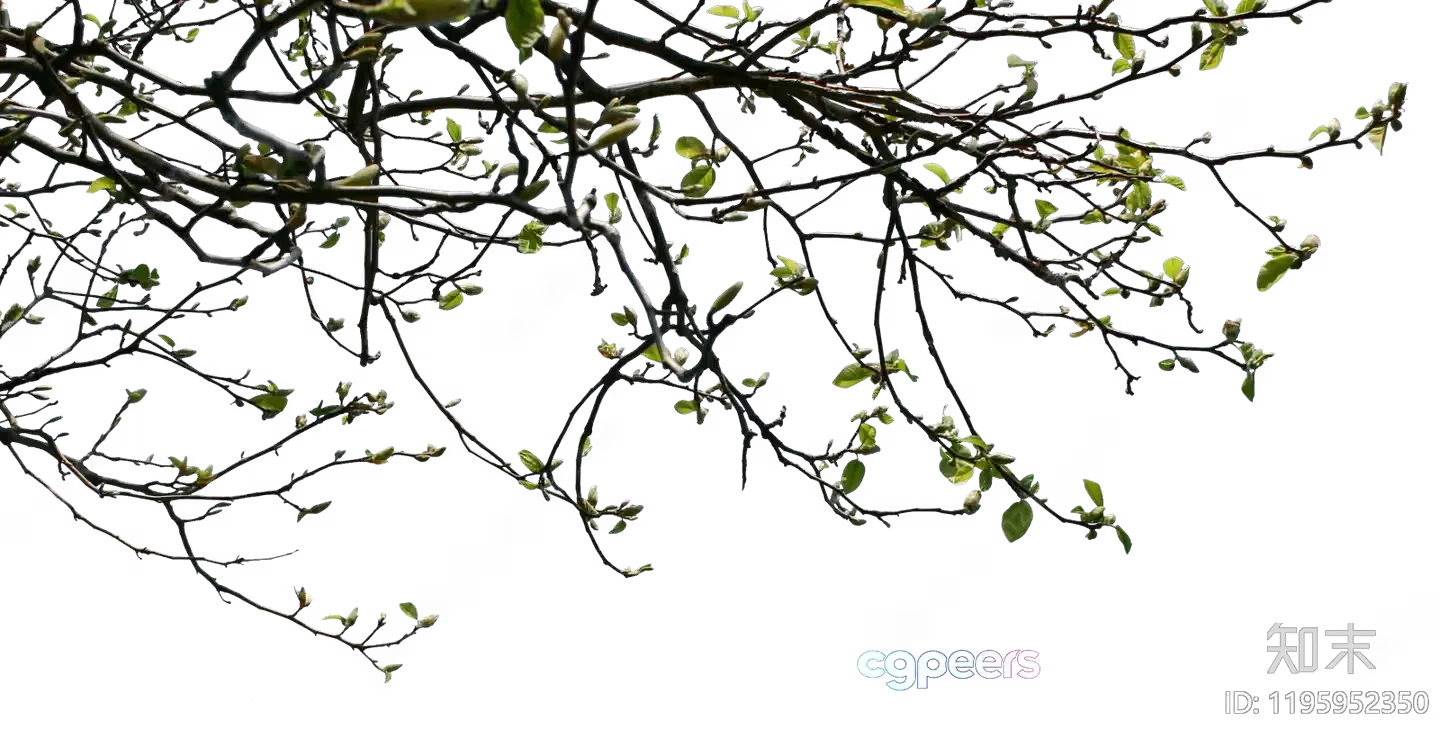 The Main Subject Is A Tree Branch With Green Leaves And It Has A 3D Model – 12654 – VRAY Render