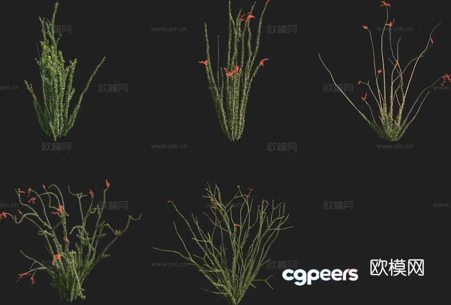Fugui tree Fugui tree flowers and plants 3d model