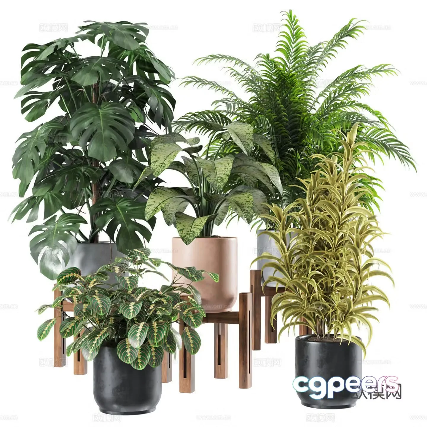 Plant potted 3D model