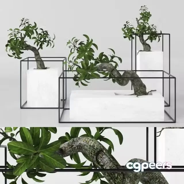 3ds Max Free – Plants tree 33 bonsai
