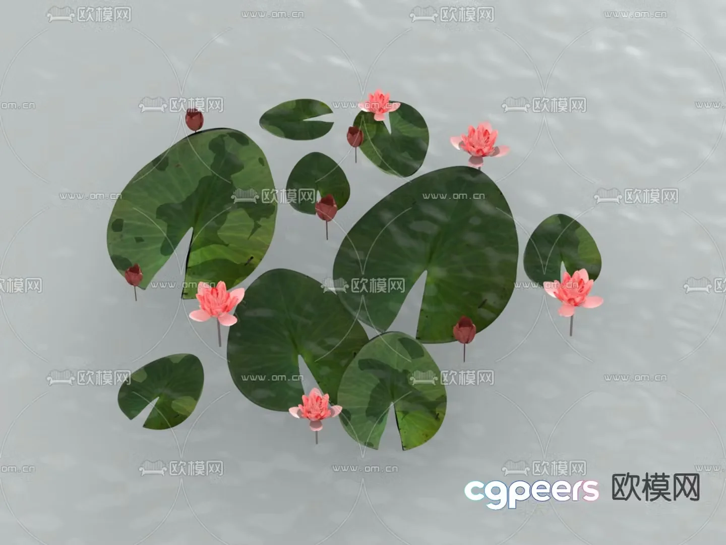 Lotus 3d model