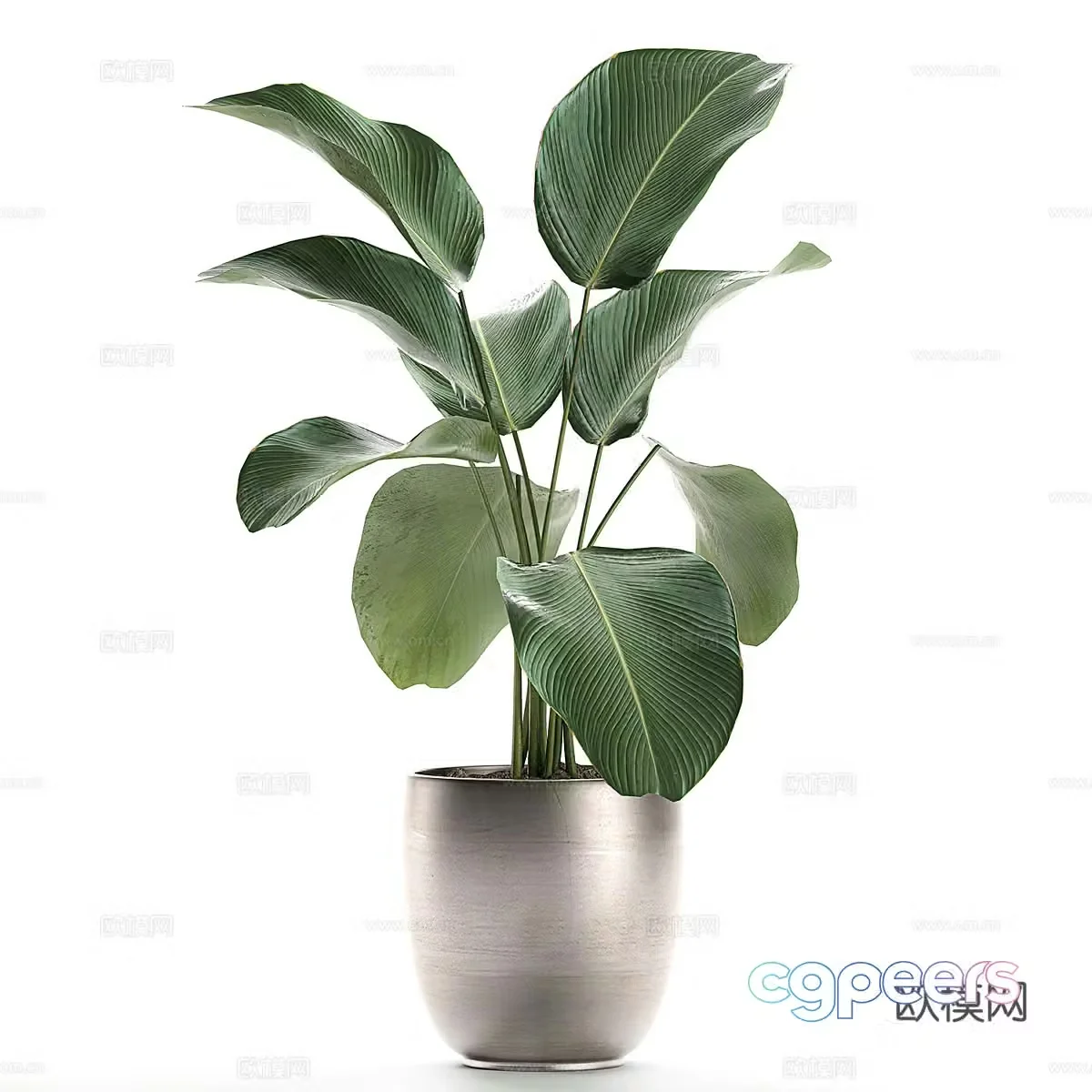 Modern green plant potted 3D model