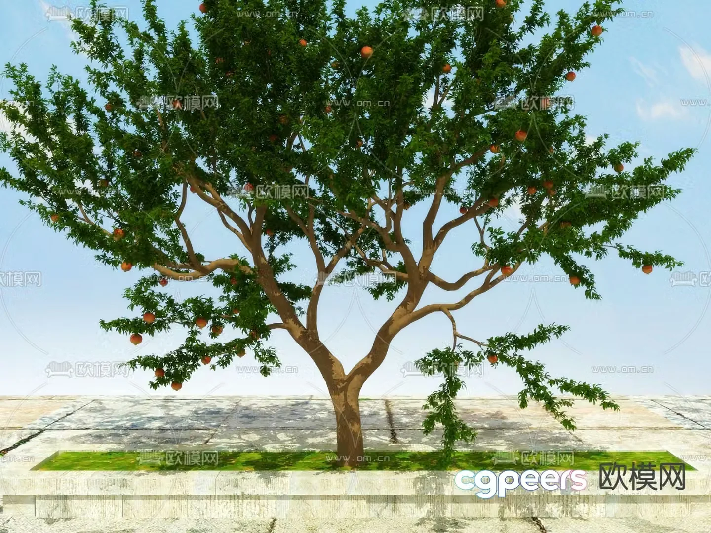 Landscape tree Big tree Fruit tree 3d model
