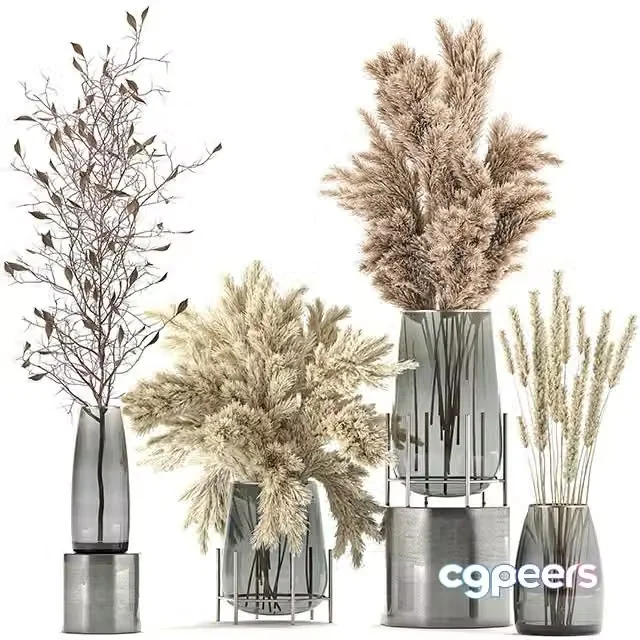 3ds Max Free – A collection of bouquets of dried flowers in glass vases Set 103