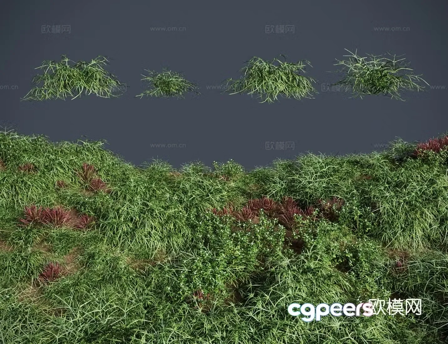 Modern lawn lawn wellside grass lawn shrub 3d model