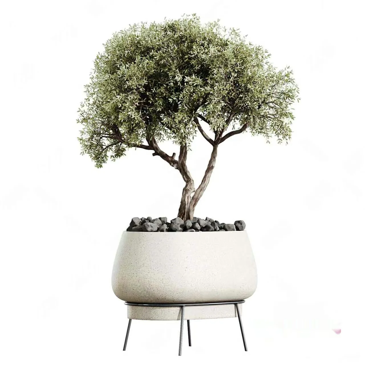 A Potted Tree 3D Model – 4516 – CORONA Render
