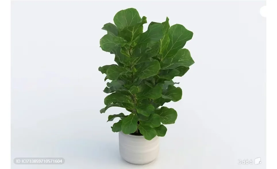 Green Plant In A Pot 3D Model – 13189 – VRAY Render