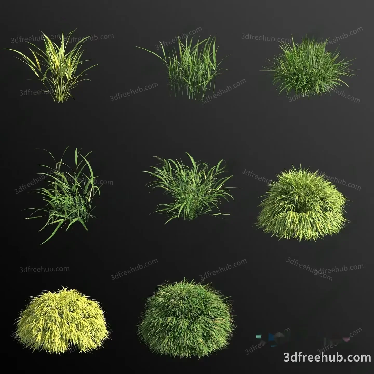 A Collection Of Grasses 3D Model – 23509 – VRAY Render