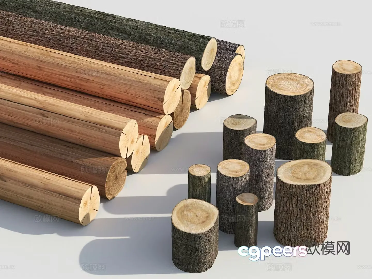 Modern dead wood tree segment tree stump tree trunk wooden stump wooden stump tree stump 3d model