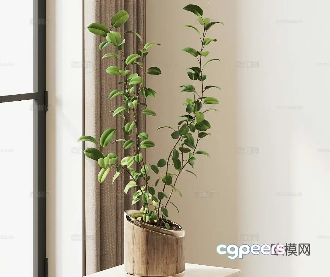 Potted plants green ivy spider plant gold-edged jade 3D model