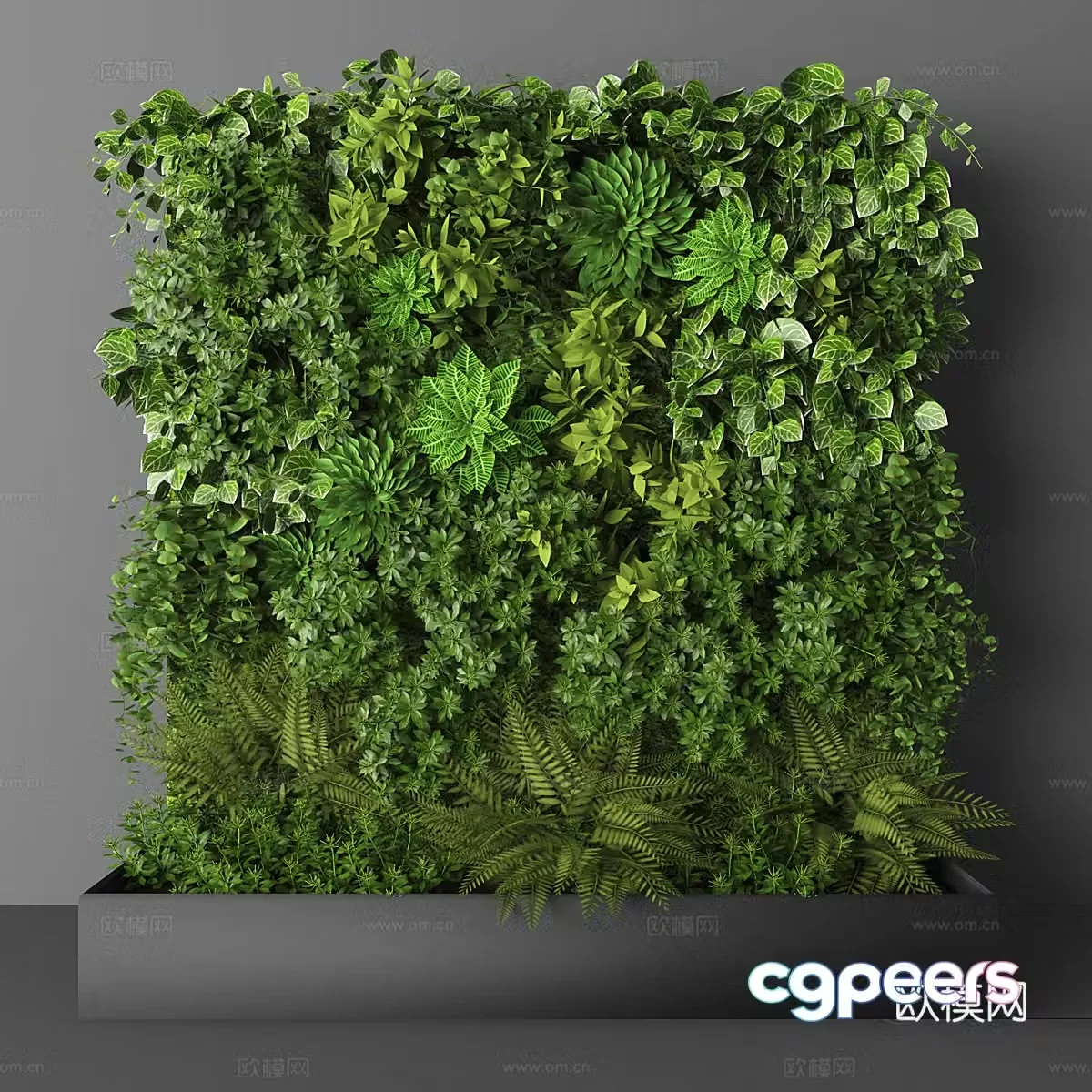 Plant wall Plant 3d model