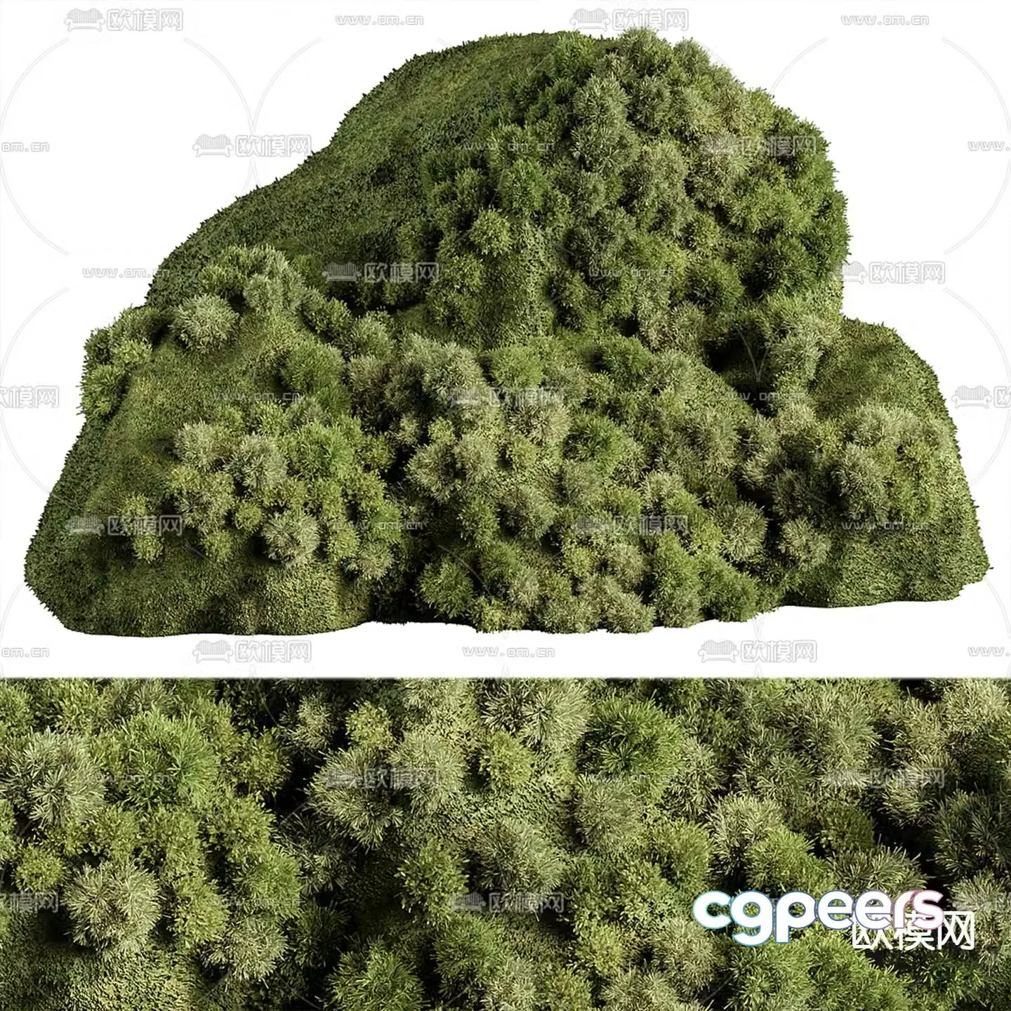 Moss green plant plant pile 3d model