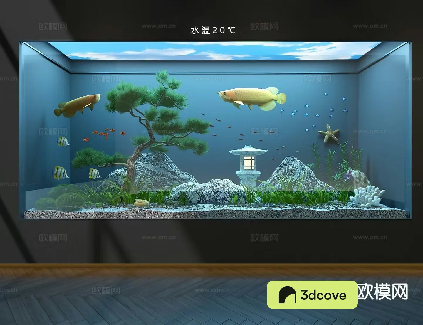Ecological fish tank aquarium