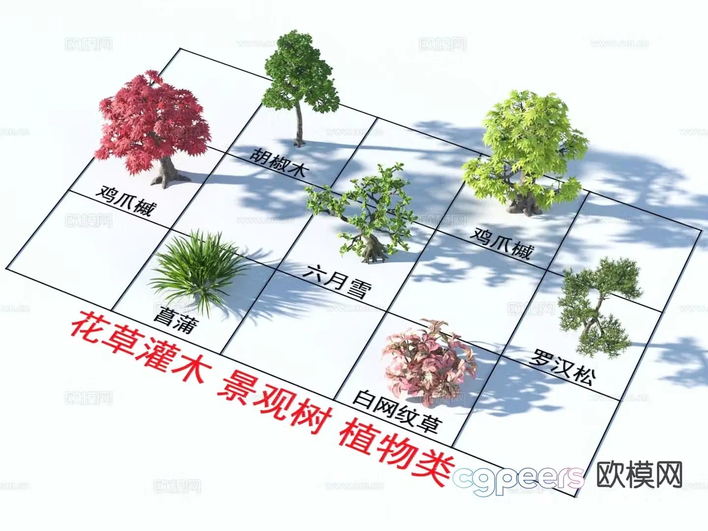White mesh grass calamus flowers grass and shrubs 3D model