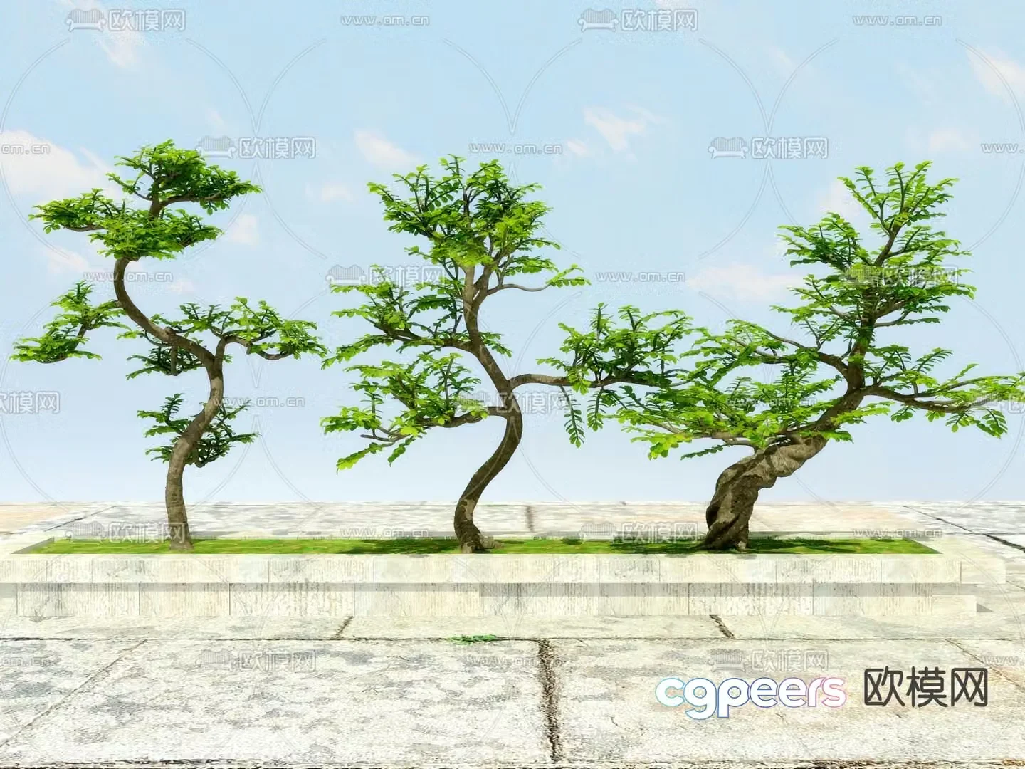 Big tree tree tree outdoor plant 3d model
