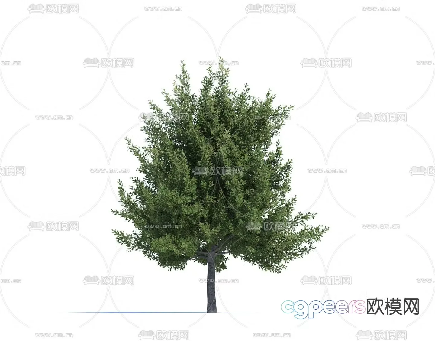 Landscape tree tree tree laurel 3d model