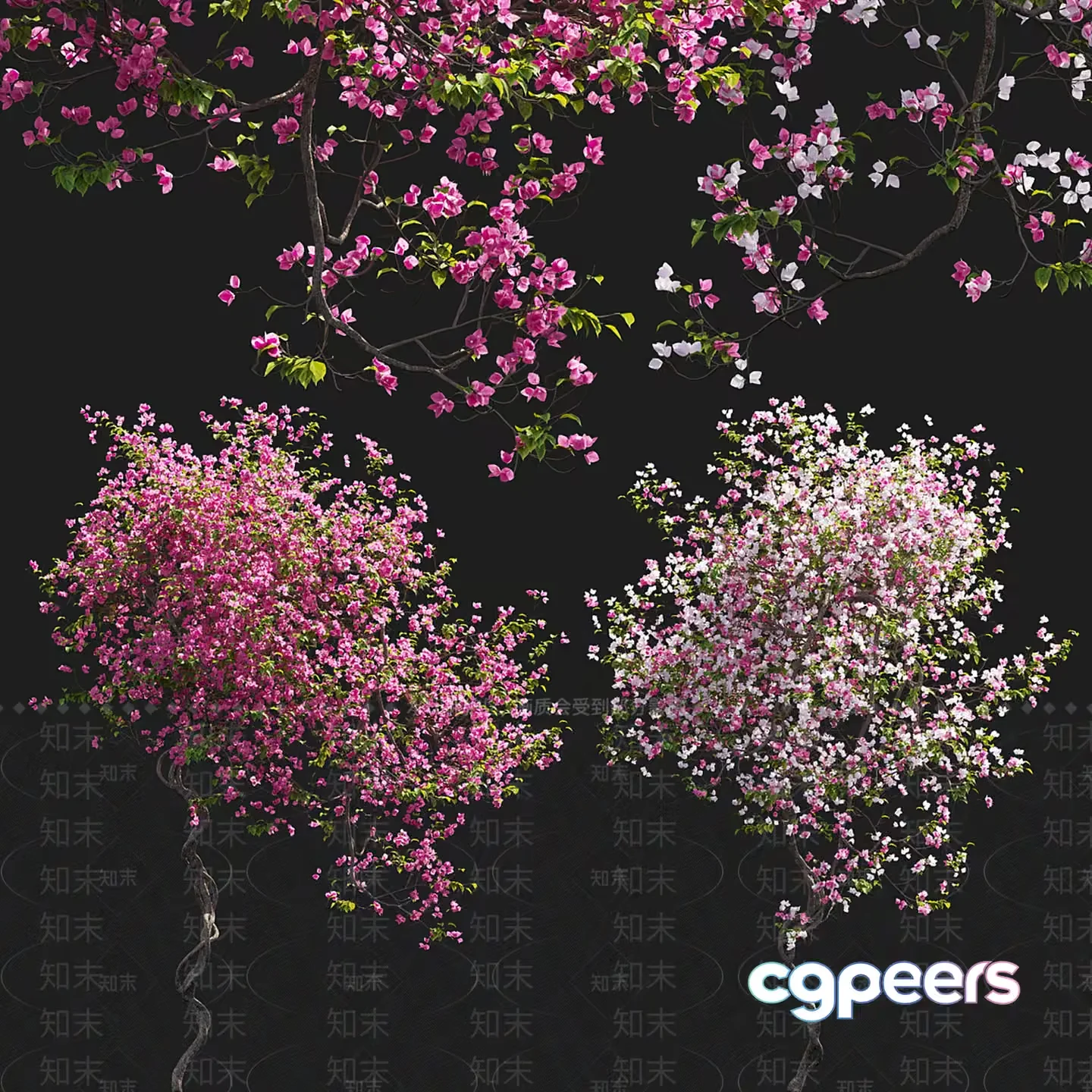 A Tree With Pink Flowers 3D Model – 16970 – VRAY Render