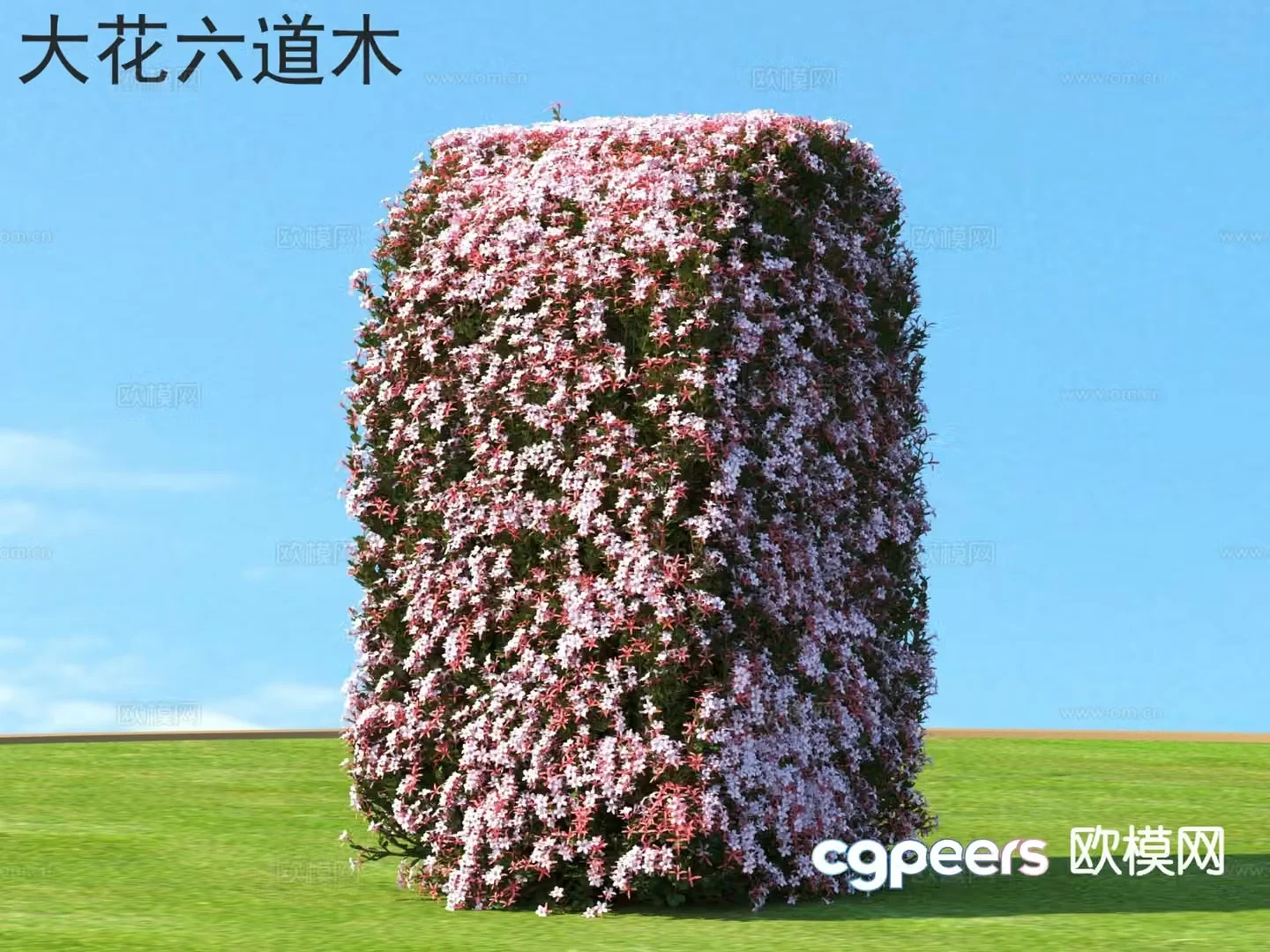 Big Flowers and Six Paths Flowers and Shrubs 3D Model